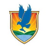 DT Image